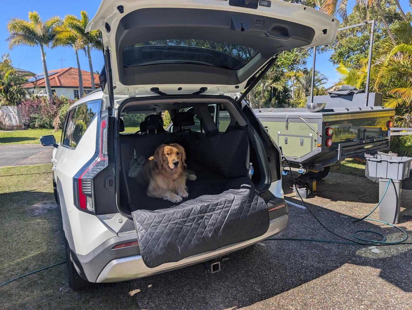 A golden retriever lying in the fitted, quilted boot of the white EV9 with the tailgate open